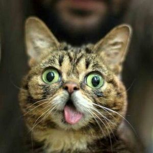 Meet your Posher, Donovan